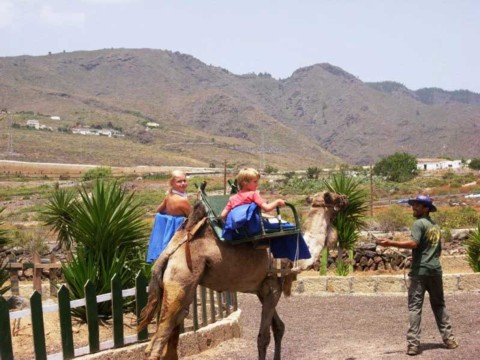 camel-park