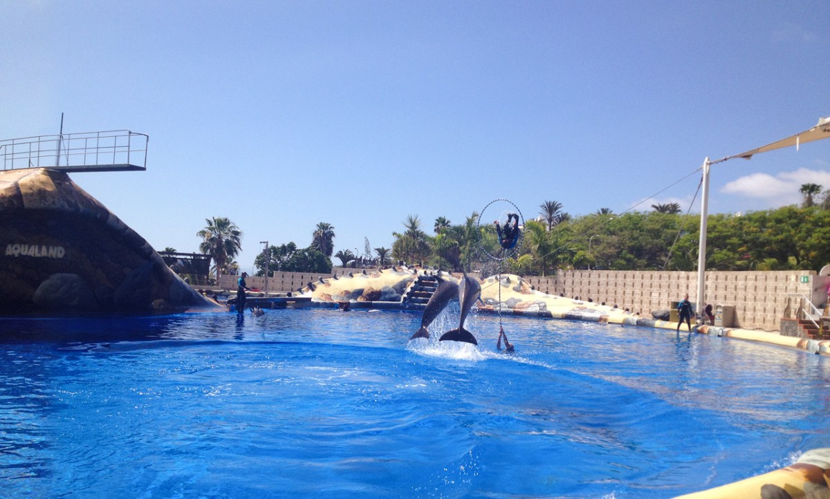 Cómo visitar Aqualand