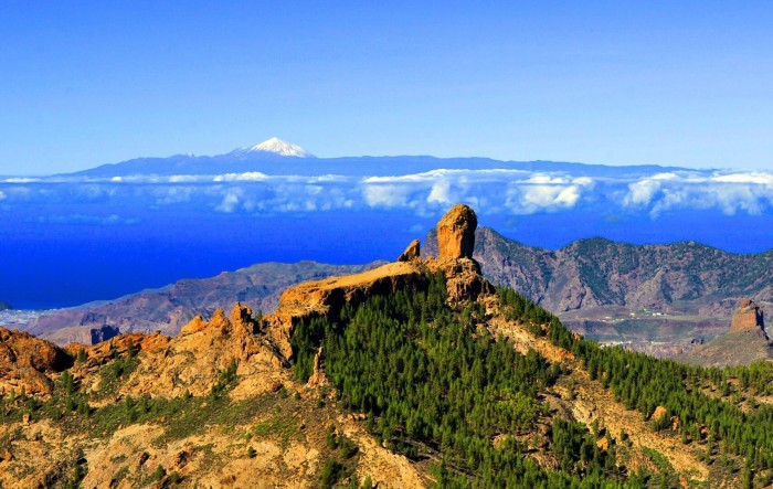 Vacaciones de una semana en Tenerife