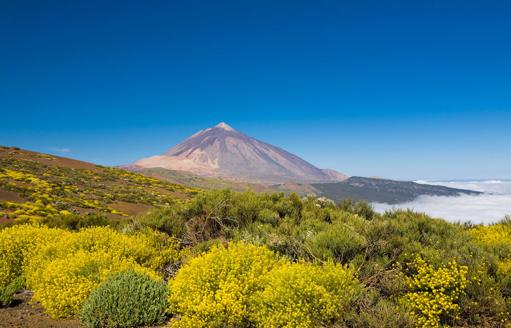 Parque Nacional del Teide