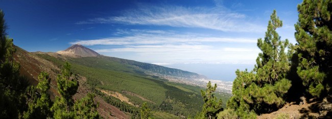 alquiler coche tenerife