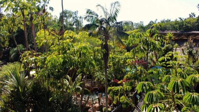 Jungle Park