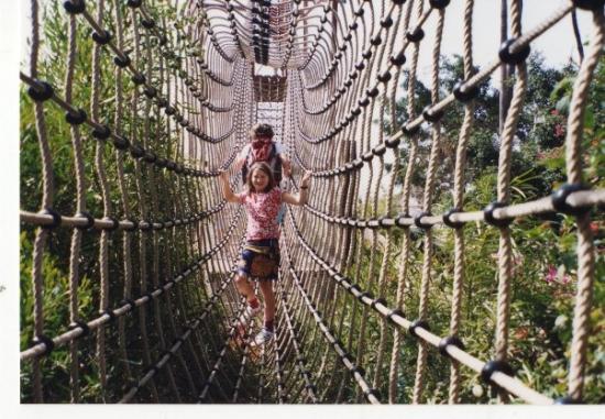 Elige tu coche de alquiler en Tenerife